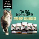 블루동물병원 이미지