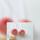 테마샵