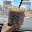 미사로브 | 벚꽃 구경. 물론 나도🌸, 미사글리아 천안 상담, 소금...멘야타마시 내돈내산 후기, 아이폰17프로 구매💸