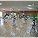 용인대 석사 스타태권도장 이미지