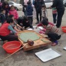 금당엄나무마을 이미지