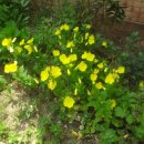 소태회관 이미지