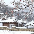 고향생각 이미지