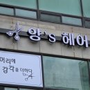 양스헤어 - 강서구 | 양스헤어