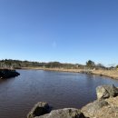 해피소닉 | 스타빌 제주 2박 숙박후기★