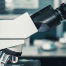 주식회사 퍼스트바이오 이미지