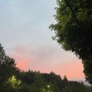 미스프레임 | 서울대입구 여권/증명사진 맛집 미스프레임 스튜디오 📸👩‍💼🔎 방문 후기