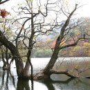 웃는시간 이미지