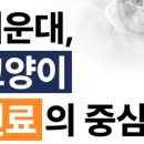 세실로 48 이미지