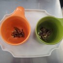 남원로2 | 원주 명륜동 카페 카페리브 커피 음료 스콘 치즈케이크 후기