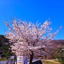 송해보건지소 이미지