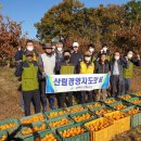 강화군산림조합 이미지