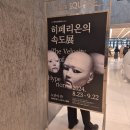 더현대대구 팝업스토어 후기_히페리온의 속도전, 마이페이브아카이브팝업 기간, 가격)