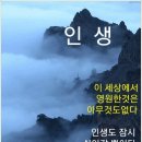 땡칠이네 이미지