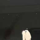 예-예(Ye-Ye) 이미지