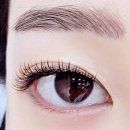 오래쉬(O’LASH) 이미지