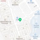 샵율희