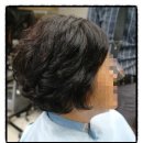 한스헤어 이미지