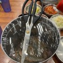 돌고래회