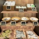 오리엔탈 | 오키나와 오리엔탈 리조트 호텔 수영장 식당 편의점 숙박 후기