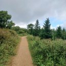 씨유강릉소금강삼거리 | (원거리 산행) 어떨결에 오대산 노인봉~소금강