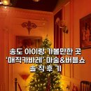 🤹🔮송도 아이랑 가볼만한 곳 추천! ‘매직카바레’ 마술&amp;버블쇼 솔직후기🪄🫟✨