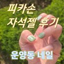 피카손