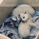 백암동물병원 이미지