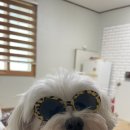 문경가축병원 이미지