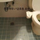 금호동 초원아파트 이미지