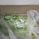 빛들농장 이미지