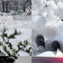 삼일기공사