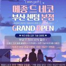 메종드센텀 | 센텀역 고양이 분양 받은 후기, 해운대구 고양이분양 메종 드 네코 센텀본점