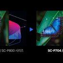 시현광택 이미지