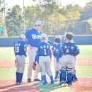 태장체육단지 야구장 이미지