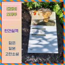 인간 실격 다자이 오사무, 줄거리 짧은 일본 고전소설 추천