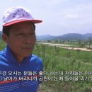 큰강기획 티스토리