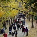 부석사 입구 이미지