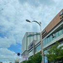 일산호수공원 가로수길 이미지