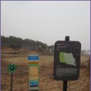 수원팔색길 매실길 이미지