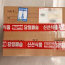 쌀쌀하당 이미지