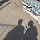 중앙대로179번길 | [부산] 2박3일 여행코스 ㅣ 해동용궁사 ㅣ 이재모피자 ㅣ 요트투어