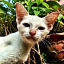 두계 농촌체험 휴양마을 이미지