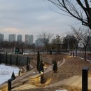 사랑의연리근 이미지