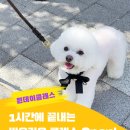 바우라움수원캠퍼스