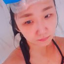 파인피노 이미지