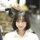 리체헤어 이미지