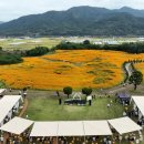 꽃 음악회 이미지