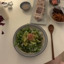 화금지 | 일상 of August 🌞