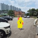 곤지샵 이미지